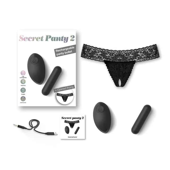 Full box contents of panty vibrator, including panties, vibrator, remote control, and charger.
