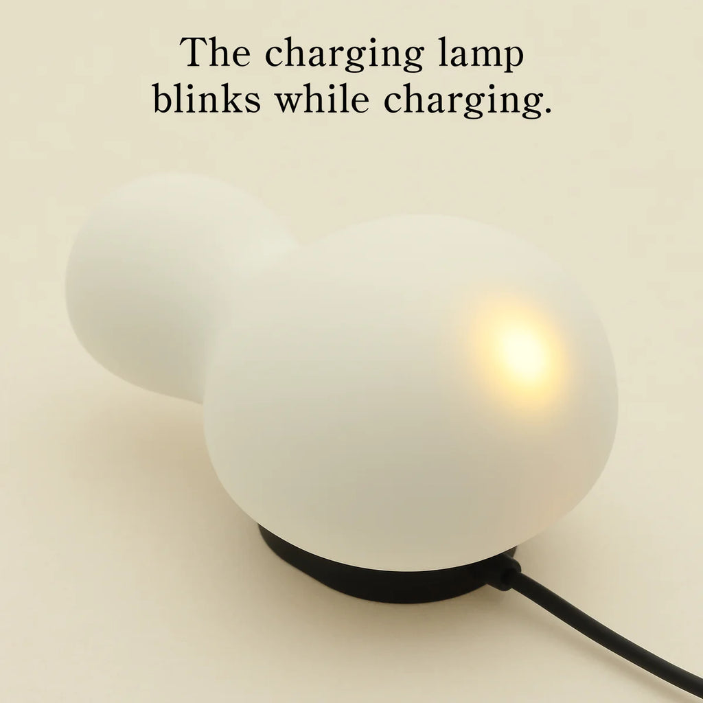 The charging lamp blinks while charging.