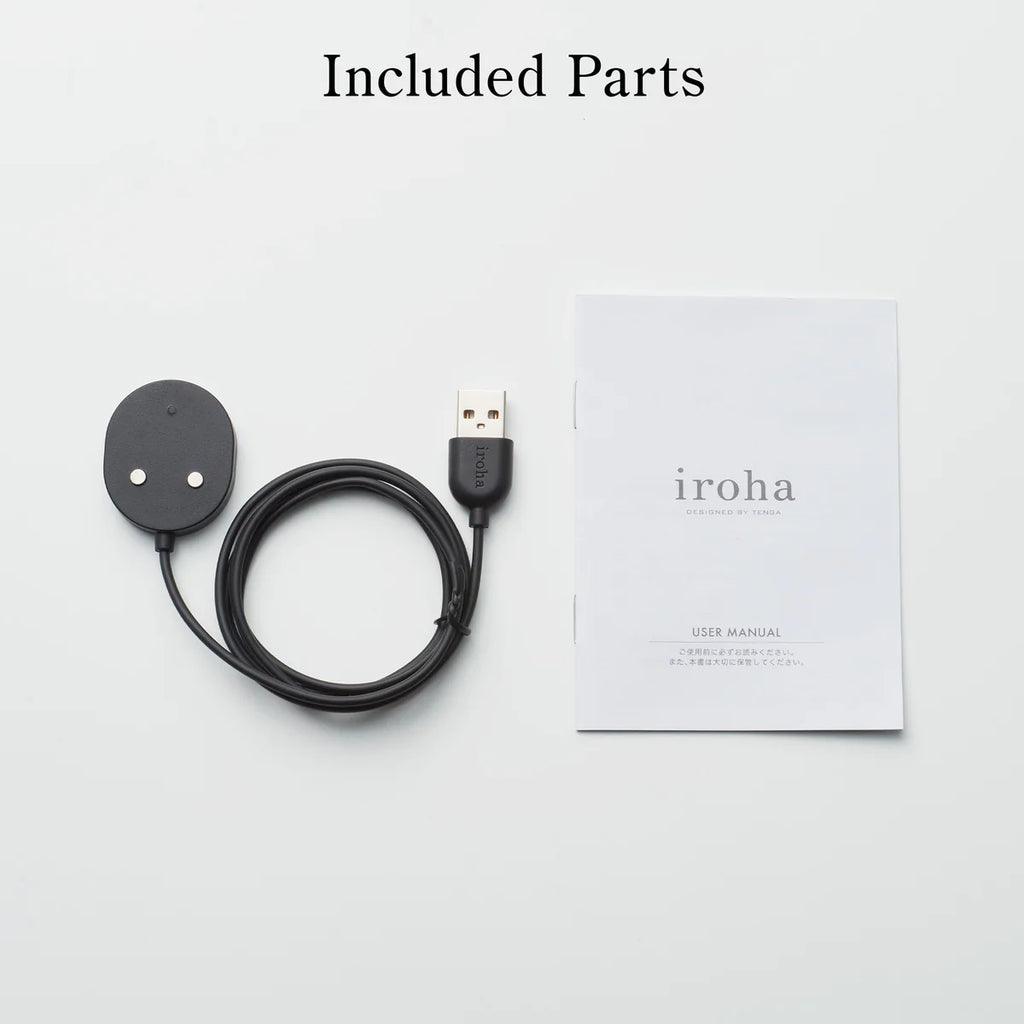 Included parts - user manual and charger port/cable.